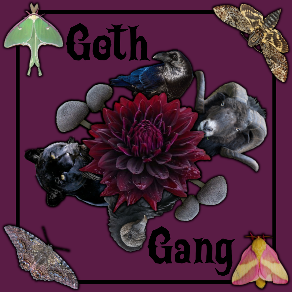Goth Gang