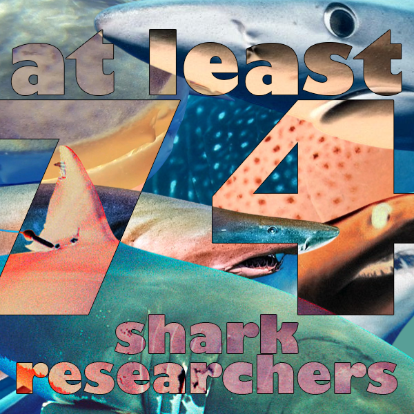 At Least 74 Currently Practicing Shark Researchers (NO STICKER OR CARD)