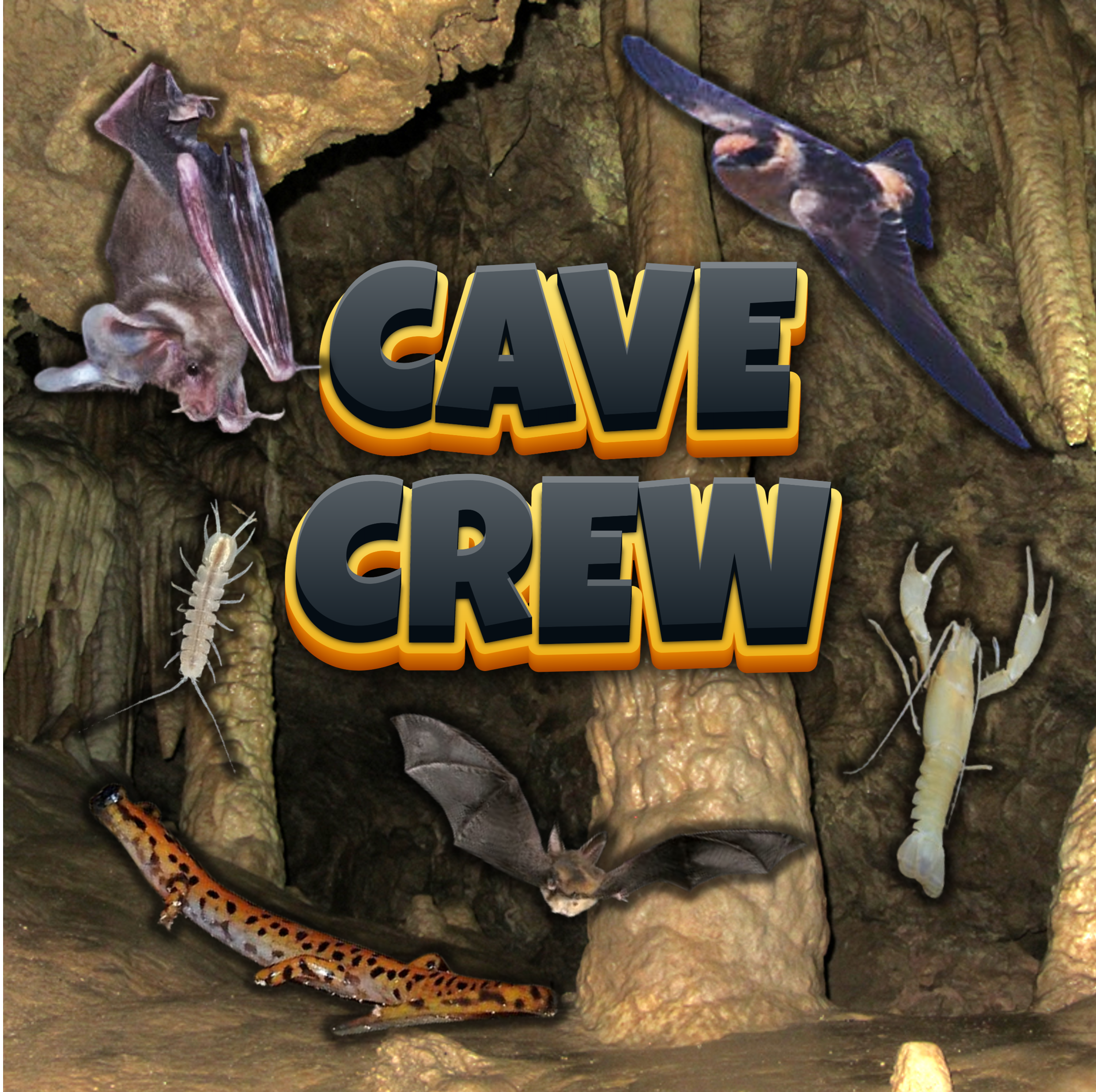 Cave Crew