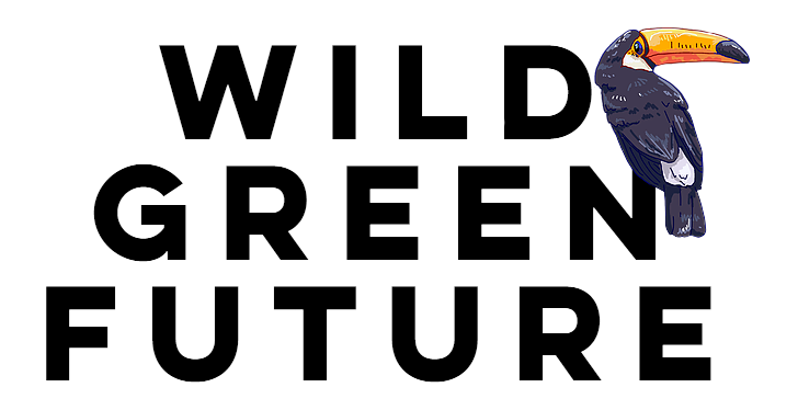 Donate to support our work for a wild, green future!