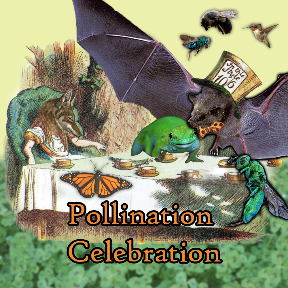 Pollination Celebration (NO STICKER OR CARD)
