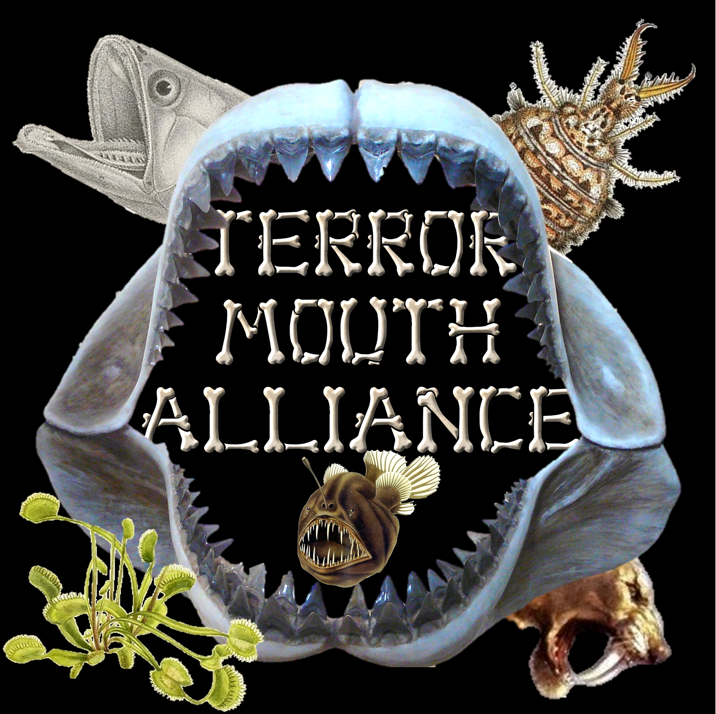Terror Mouth Alliance (NO STICKER OR CARD)