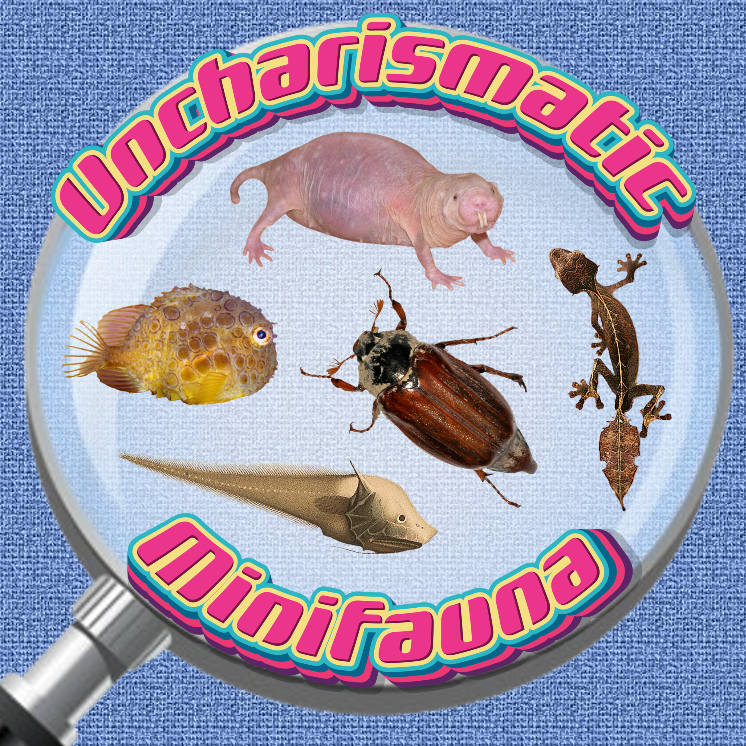 Uncharismatic Minifauna