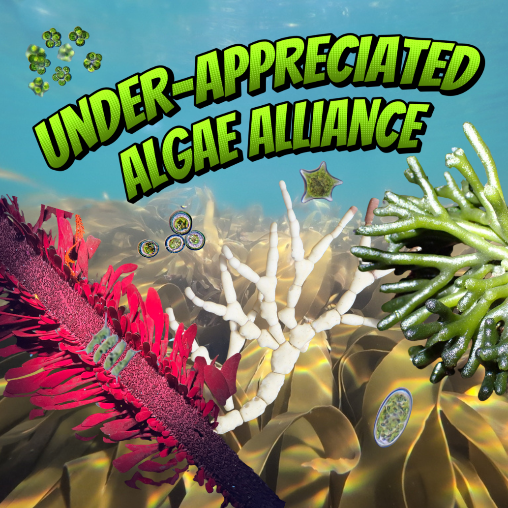 Underappreciated Algae Alliance (NO STICKER OR CARD)