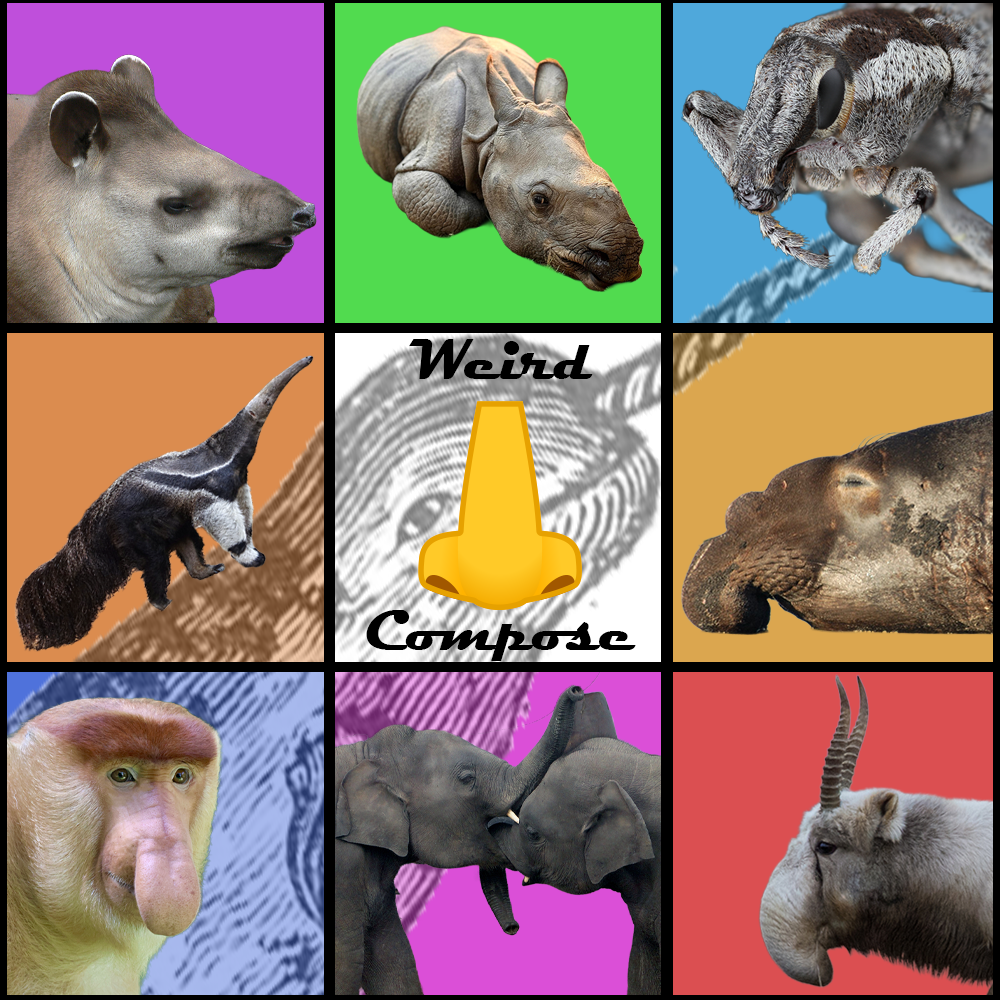 Weird Nose Compose