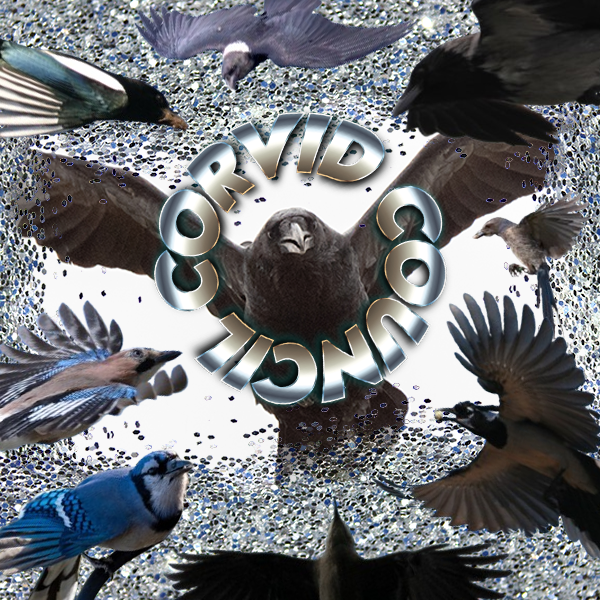 Corvid Council (NO STICKER OR CARD)