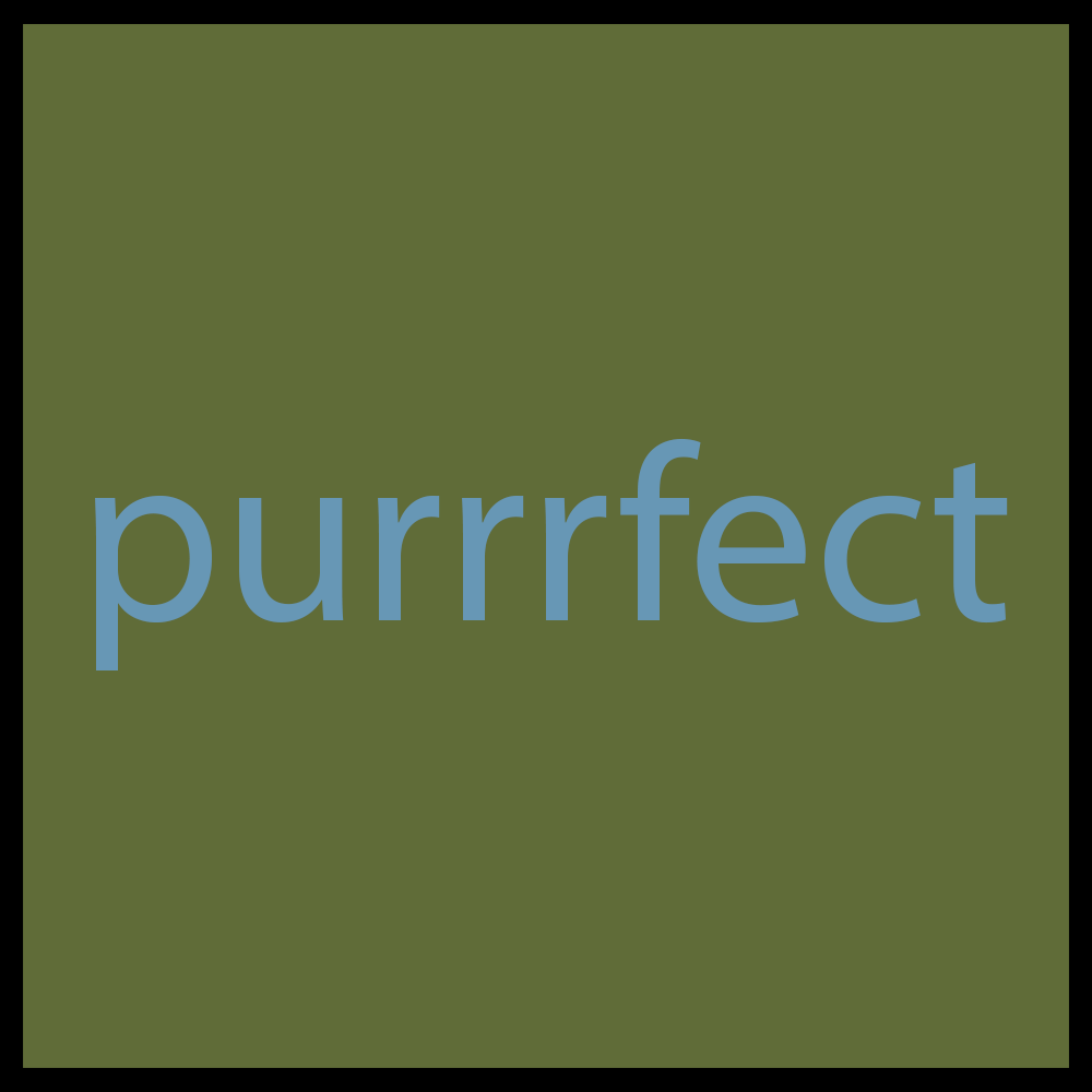 Forbidden Feline Fellowship (NO STICKER OR CARD)