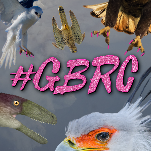 Girlboss Raptor Chapter