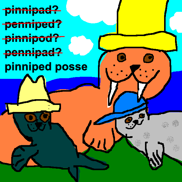 Pinniped Posse (NO STICKER OR CARD)